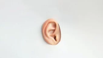 ear-2 ear-2